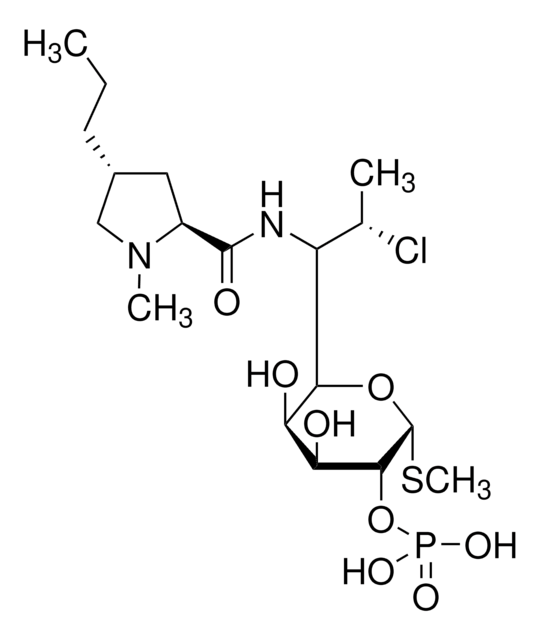 Clindamycin Phosphate