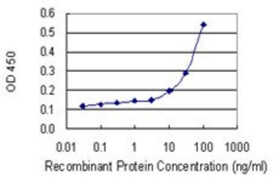 Monoclonal Anti-BCL2L11 antibody produced in