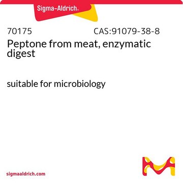 Peptone from meat, enzymatic digest
