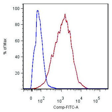 Monoclonal Anti-CD54-FITC antibody produced in