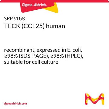 TECK (CCL25) human