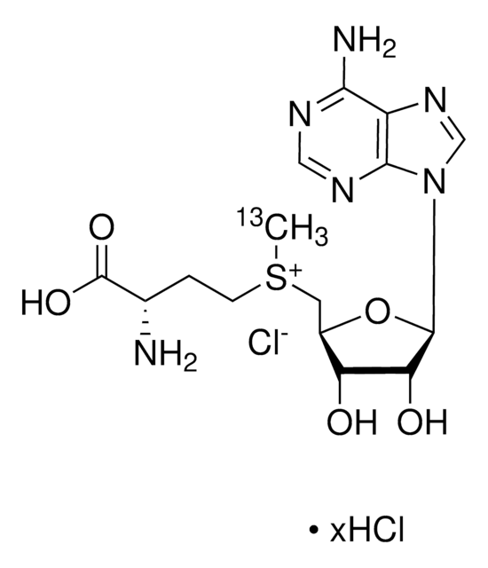 S-(5’-Adenosyl) -L-methionine-(S-methyl-¹³C)chloride