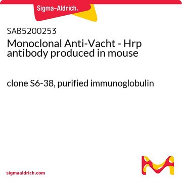 Monoclonal Anti-Vacht - Hrp antibody