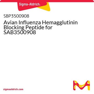 Avian Influenza Hemagglutinin Blocking Peptide