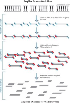 SeqPlex DNA Amplification Kit