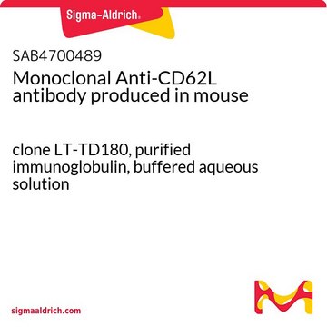 Monoclonal Anti-CD62L antibody produced in