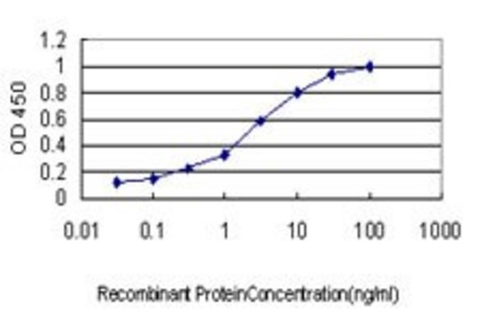 Monoclonal Anti-RIN1 antibody produced in
