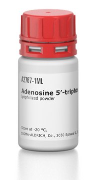 Adenosine 5?-triphosphate–Agarose