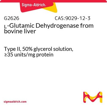 ?-Glutamic Dehydrogenase from bovine liver