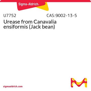 Urease from Canavalia ensiformis (Jack