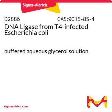 DNA Ligase from T4-infected Escherichia