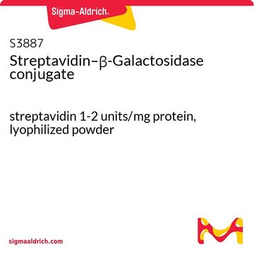 Streptavidin–?-Galactosidase conjugate