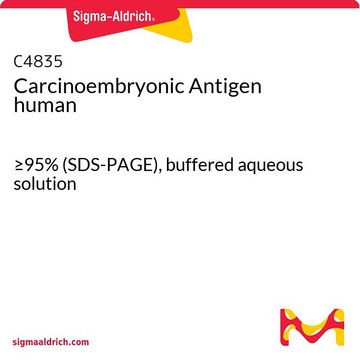 Carcinoembryonic Antigen human
