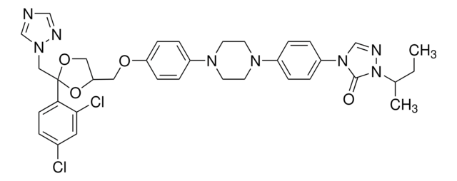 Itraconazole for system suitability