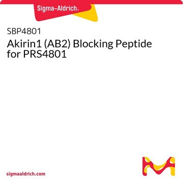 Akirin1 (AB2) Blocking Peptide for