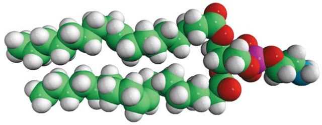 18:1 (?9-Cis) PE (DOPE)