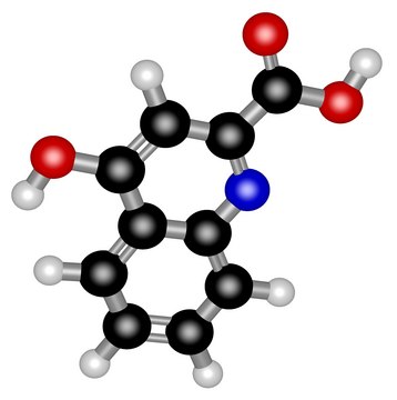 Kynurenic acid