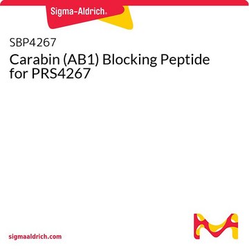 Carabin (AB1) Blocking Peptide for