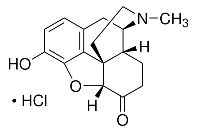 Hydromorphone HCl