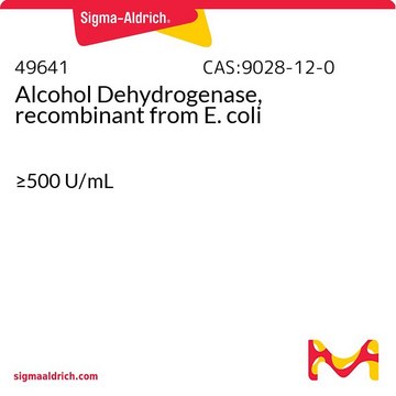 Alcohol Dehydrogenase, recombinant from E.