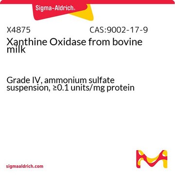 Xanthine Oxidase from bovine milk