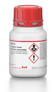 Trypsin from porcine pancreas