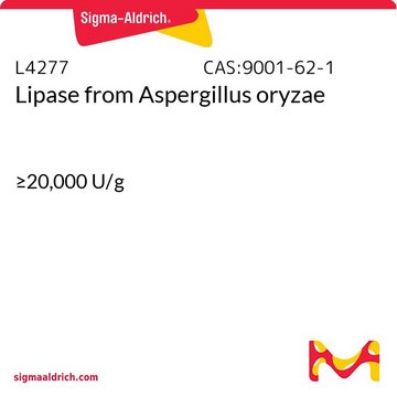 Lipase from Aspergillus oryzae