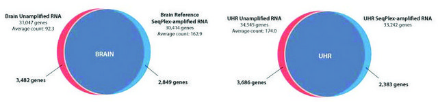 SeqPlex RNA Amplification Kit