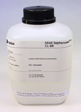 DEAE-SEPHAROSE CL-6B, 500 ML
