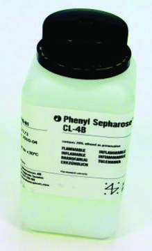 PHENYL-SEPHAROSE CL-4B, 200 ML
