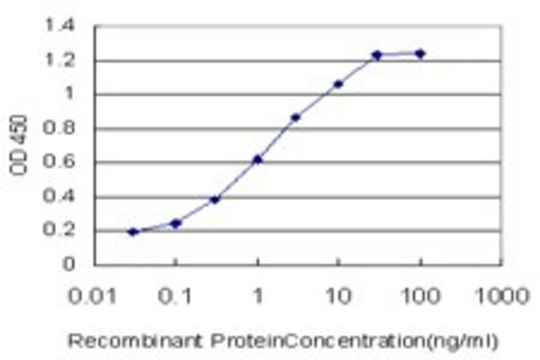 Monoclonal Anti-RABIF antibody produced in