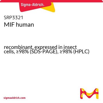 MIF human