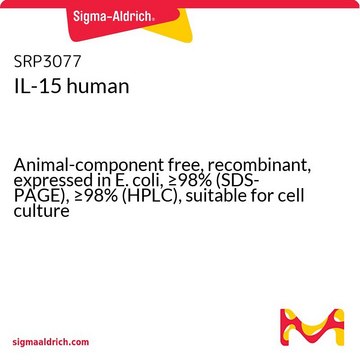 IL-15 human