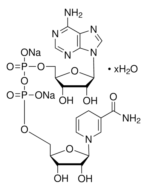 ?-Nicotinamide adenine dinucleotide, reduced disodium
