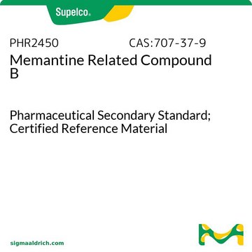 Memantine Related Compound B