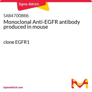Monoclonal Anti-EGFR antibody produced in