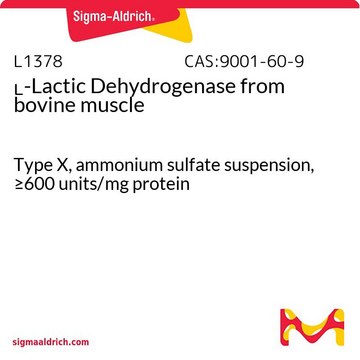 ?-Lactic Dehydrogenase from bovine muscle