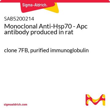 Monoclonal Anti-Hsp70 - Apc antibody