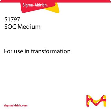 SOC Medium