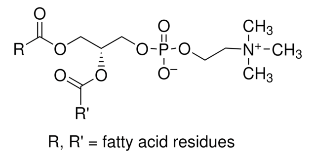 ?-?-Phosphatidylcholine
