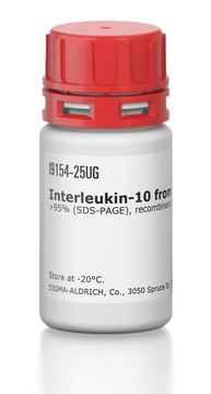 Interleukin-10 from rat