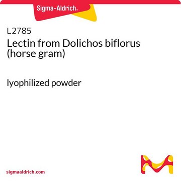Lectin from Dolichos biflorus (horse