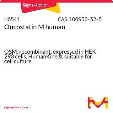 Oncostatin M human