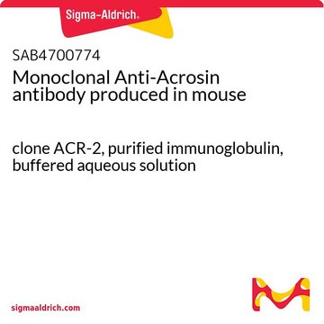 Monoclonal Anti-Acrosin antibody produced in