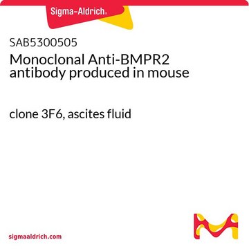 Monoclonal Anti-BMPR2 antibody produced in