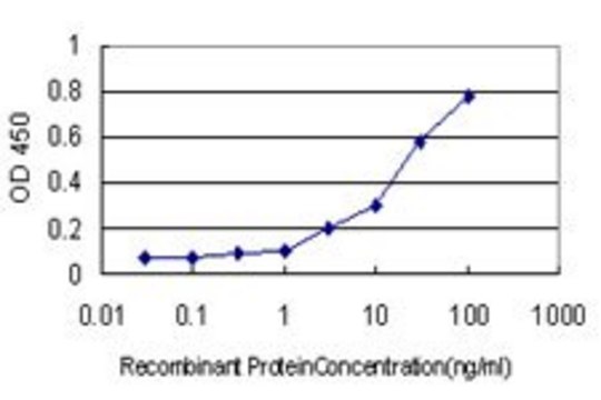 Monoclonal Anti-KCNMB4 antibody produced in