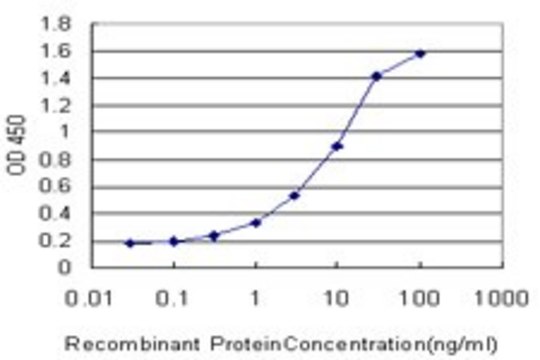 Monoclonal Anti-MAP1LC3B antibody produced in