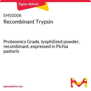 Recombinant Trypsin