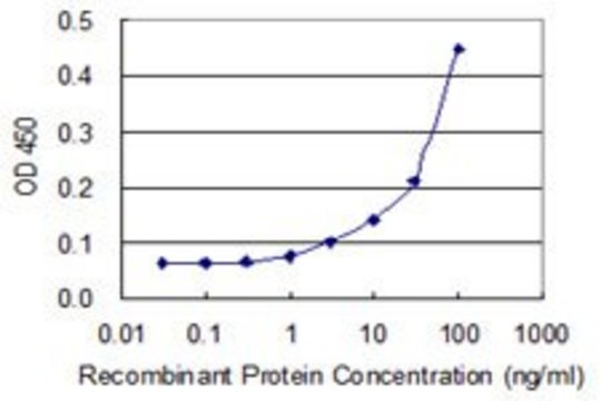 Monoclonal Anti-CASQ1 antibody produced in