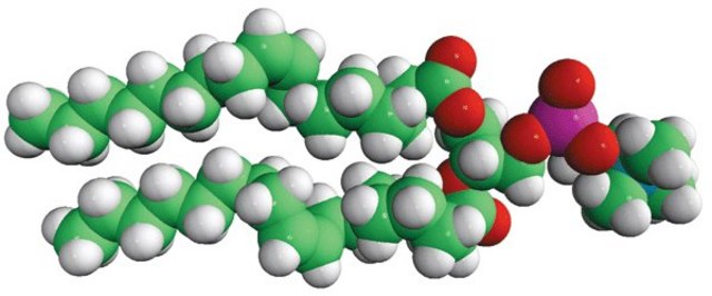 18:1 (?9-Cis) PC (DOPC)